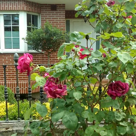 In One. Todo En Uno. * Berriz