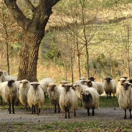 In One. Todo En Uno. *