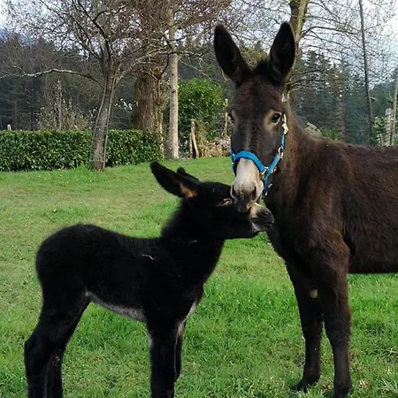 In One. Todo En Uno. Appartement